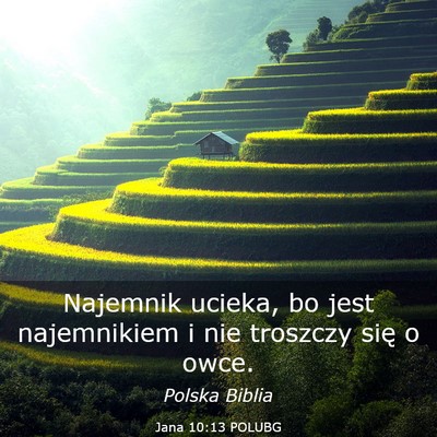 Picture 03 - Jana 10:13 POLUBG - Najemnik ucieka, bo jest najemnikiem i nie - Bible Verse Picture