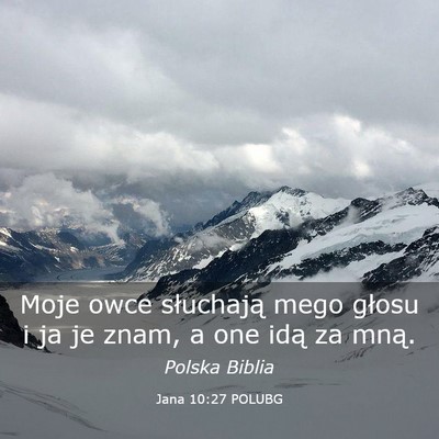 Picture 03 - Jana 10:27 POLUBG - Moje owce słuchają mego głosu i ja je znam, a - Bible Verse Picture