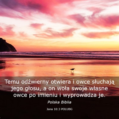 Picture 03 - Jana 10:3 POLUBG - Temu odźwierny otwiera i owce słuchają jego - Bible Verse Picture