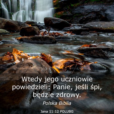 Picture 03 - Jana 11:12 POLUBG - Wtedy jego uczniowie powiedzieli: Panie, jeśli - Bible Verse Picture