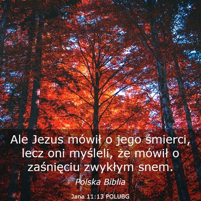Picture 03 - Jana 11:13 POLUBG - Ale Jezus mówił o jego śmierci, lecz oni - Bible Verse Picture