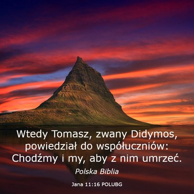 Picture 03 - Jana 11:16 POLUBG - Wtedy Tomasz, zwany Didymos, powiedział do - Bible Verse Picture