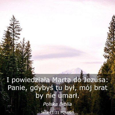 Picture 03 - Jana 11:21 POLUBG - I powiedziała Marta do Jezusa: Panie, gdybyś tu - Bible Verse Picture