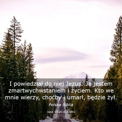 Picture 03 - Jana 11:25 POLUBG - I powiedział do niej Jezus: Ja jestem - Bible Verse Picture