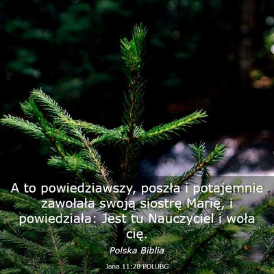 Picture 03 - Jana 11:28 POLUBG - A to powiedziawszy, poszła i potajemnie - Bible Verse Picture