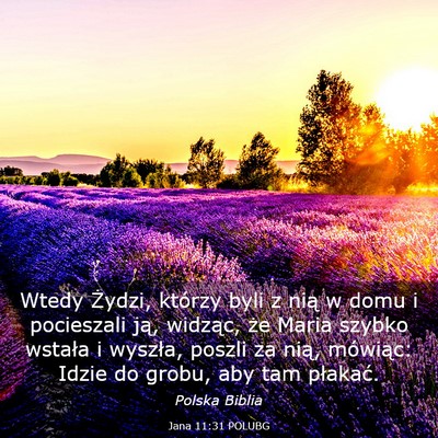 Picture 03 - Jana 11:31 POLUBG - Wtedy Żydzi, którzy byli z nią w domu i - Bible Verse Picture