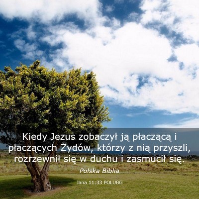 Picture 03 - Jana 11:33 POLUBG - Kiedy Jezus zobaczył ją płaczącą i - Bible Verse Picture