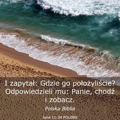 Picture 03 - Jana 11:34 POLUBG - I zapytał: Gdzie go położyliście? - Bible Verse Picture