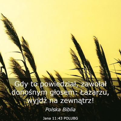 Picture 03 - Jana 11:43 POLUBG - Gdy to powiedział, zawołał donośnym głosem: - Bible Verse Picture