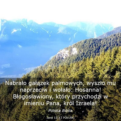 Picture 03 - Jana 12:13 POLUBG - Nabrało gałązek palmowych, wyszło mu - Bible Verse Picture