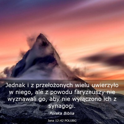 Picture 03 - Jana 12:42 POLUBG - Jednak i z przełożonych wielu uwierzyło w - Bible Verse Picture