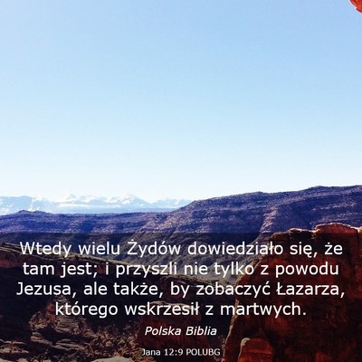 Picture 03 - Jana 12:9 POLUBG - Wtedy wielu Żydów dowiedziało się, że tam - Bible Verse Picture
