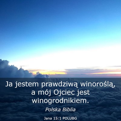 Picture 03 - Jana 15:1 POLUBG - Ja jestem prawdziwą winoroślą, a mój Ojciec - Bible Verse Picture