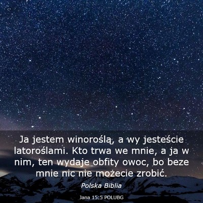 Picture 03 - Jana 15:5 POLUBG - Ja jestem winoroślą, a wy jesteście - Bible Verse Picture