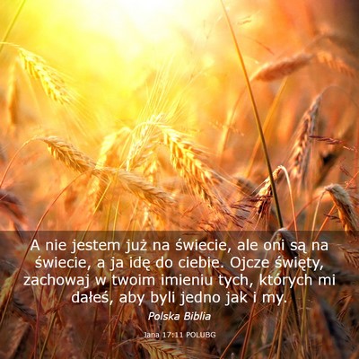 Picture 03 - Jana 17:11 POLUBG - A nie jestem już na świecie, ale oni są na - Bible Verse Picture