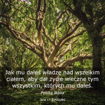 Picture 03 - Jana 17:2 POLUBG - Jak mu dałeś władzę nad wszelkim ciałem, aby - Bible Verse Picture