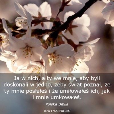 Picture 03 - Jana 17:23 POLUBG - Ja w nich, a ty we mnie, aby byli doskonali w - Bible Verse Picture
