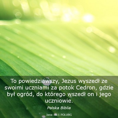 Picture 03 - Jana 18:1 POLUBG - To powiedziawszy, Jezus wyszedł ze swoimi - Bible Verse Picture