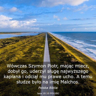 Picture 03 - Jana 18:10 POLUBG - Wówczas Szymon Piotr, mając miecz, dobył go, - Bible Verse Picture