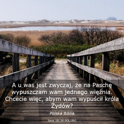 Picture 03 - Jana 18:39 POLUBG - A u was jest zwyczaj, że na Paschę wypuszczam - Bible Verse Picture