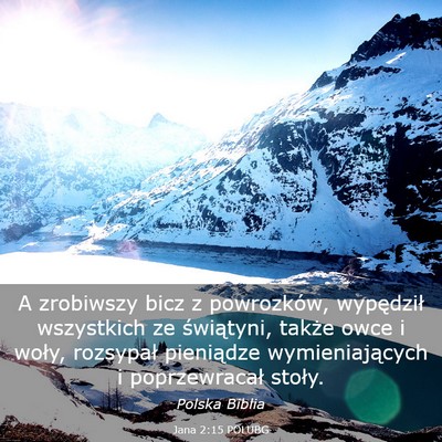 Picture 03 - Jana 2:15 POLUBG - A zrobiwszy bicz z powrozków, wypędził - Bible Verse Picture