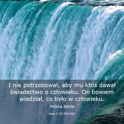 Picture 03 - Jana 2:25 POLUBG - I nie potrzebował, aby mu ktoś dawał - Bible Verse Picture