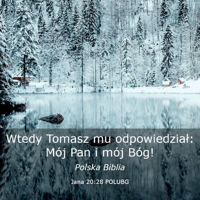Picture 03 - Jana 20:28 POLUBG - Wtedy Tomasz mu odpowiedział: Mój Pan i mój - Bible Verse Picture