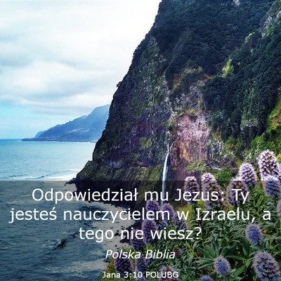 Picture 03 - Jana 3:10 POLUBG - Odpowiedział mu Jezus: Ty jesteś nauczycielem w - Bible Verse Picture