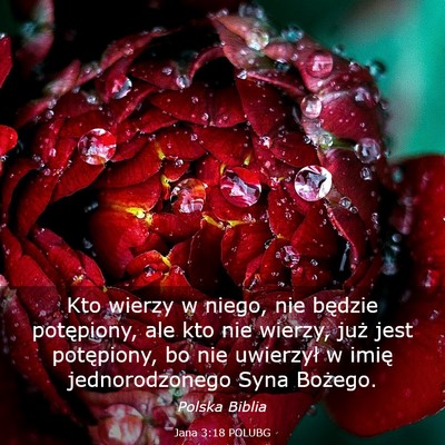 Picture 03 - Jana 3:18 POLUBG - Kto wierzy w niego, nie będzie potępiony, ale - Bible Verse Picture