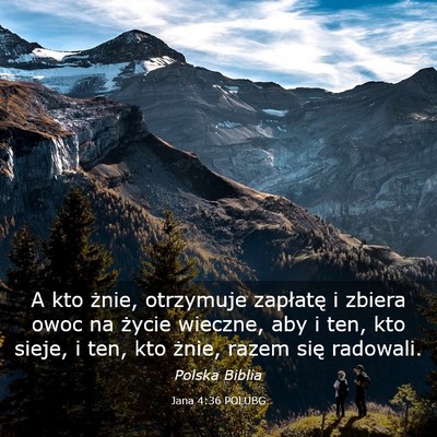 Picture 03 - Jana 4:36 POLUBG - A kto żnie, otrzymuje zapłatę i zbiera owoc na - Bible Verse Picture