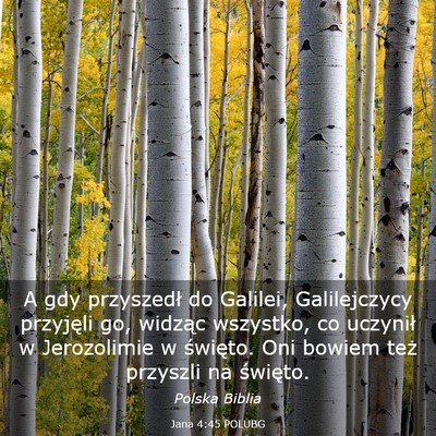 Picture 03 - Jana 4:45 POLUBG - A gdy przyszedł do Galilei, Galilejczycy - Bible Verse Picture