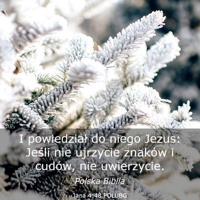 Picture 03 - Jana 4:48 POLUBG - I powiedział do niego Jezus: Jeśli nie ujrzycie - Bible Verse Picture