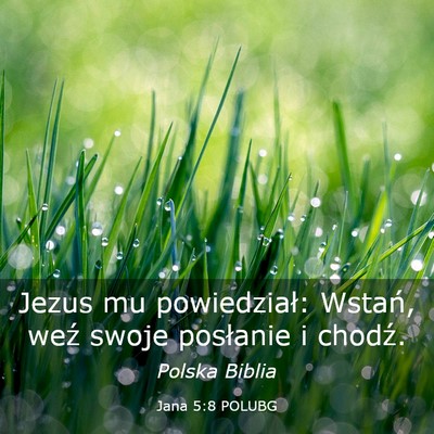 Picture 03 - Jana 5:8 POLUBG - Jezus mu powiedział: Wstań, weź swoje - Bible Verse Picture