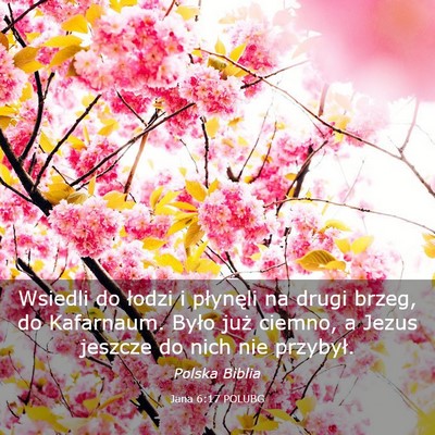Picture 03 - Jana 6:17 POLUBG - Wsiedli do łodzi i płynęli na drugi brzeg, do - Bible Verse Picture