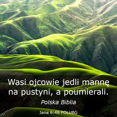 Picture 03 - Jana 6:49 POLUBG - Wasi ojcowie jedli mannę na pustyni, a - Bible Verse Picture