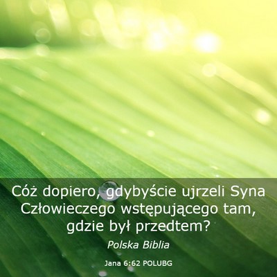 Picture 03 - Jana 6:62 POLUBG - Cóż dopiero, gdybyście ujrzeli Syna - Bible Verse Picture