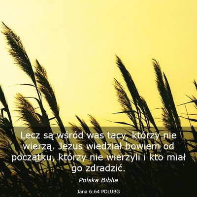 Picture 03 - Jana 6:64 POLUBG - Lecz są wśród was tacy, którzy nie wierzą. - Bible Verse Picture