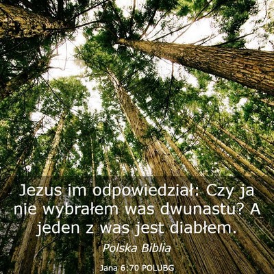 Picture 03 - Jana 6:70 POLUBG - Jezus im odpowiedział: Czy ja nie wybrałem was - Bible Verse Picture