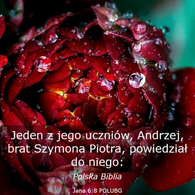 Picture 03 - Jana 6:8 POLUBG - Jeden z jego uczniów, Andrzej, brat Szymona - Bible Verse Picture