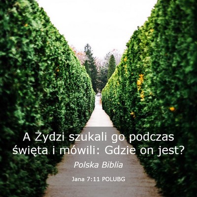 Picture 03 - Jana 7:11 POLUBG - A Żydzi szukali go podczas święta i mówili: - Bible Verse Picture