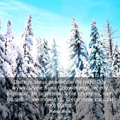 Picture 03 - Jana 8:28 POLUBG - Dlatego Jezus powiedział do nich: Gdy - Bible Verse Picture