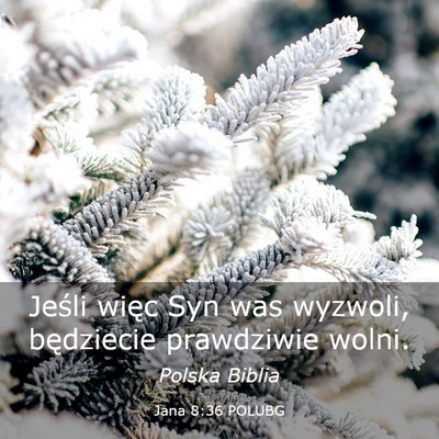 Picture 03 - Jana 8:36 POLUBG - Jeśli więc Syn was wyzwoli, będziecie - Bible Verse Picture