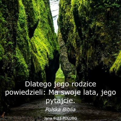 Picture 03 - Jana 9:23 POLUBG - Dlatego jego rodzice powiedzieli: Ma swoje lata, - Bible Verse Picture