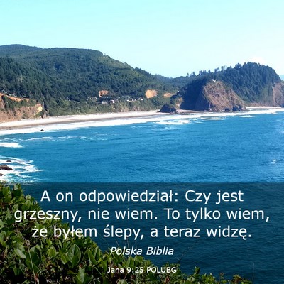 Picture 03 - Jana 9:25 POLUBG - A on odpowiedział: Czy jest grzeszny, nie wiem. - Bible Verse Picture