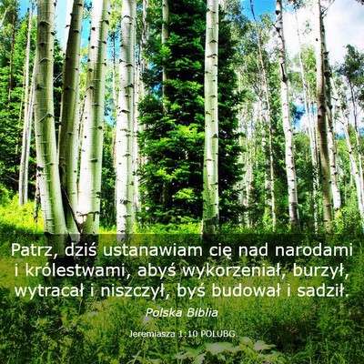 Picture 03 - Jeremiasza 1:10 POLUBG - Patrz, dziś ustanawiam cię nad narodami i - Bible Verse Picture