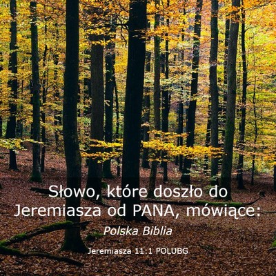 Picture 03 - Jeremiasza 11:1 POLUBG - Słowo, które doszło do Jeremiasza od PANA, - Bible Verse Picture