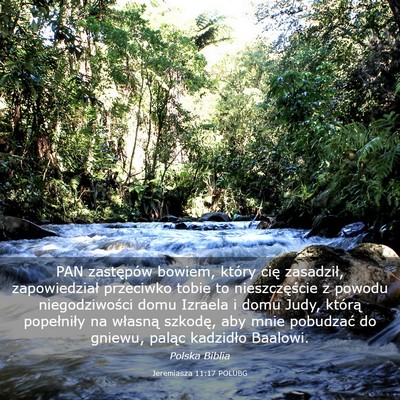 Picture 03 - Jeremiasza 11:17 POLUBG - PAN zastępów bowiem, który cię zasadził, - Bible Verse Picture