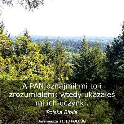 Picture 03 - Jeremiasza 11:18 POLUBG - A PAN oznajmił mi to i zrozumiałem; wtedy - Bible Verse Picture