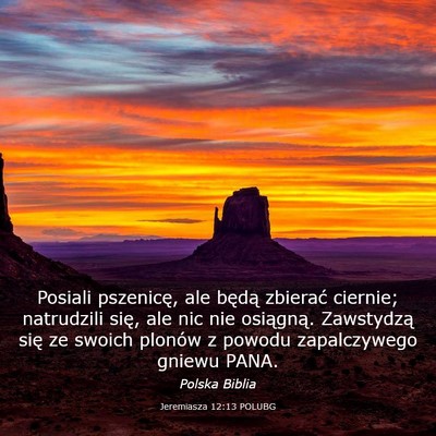 Picture 03 - Jeremiasza 12:13 POLUBG - Posiali pszenicę, ale będą zbierać ciernie; - Bible Verse Picture