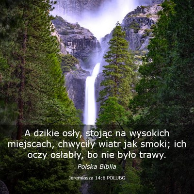 Picture 03 - Jeremiasza 14:6 POLUBG - A dzikie osły, stojąc na wysokich miejscach, - Bible Verse Picture
